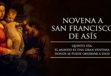 Novena a San Francisco de Asís: Quinto Día