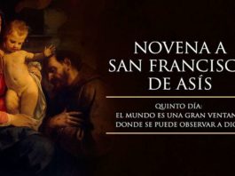 Novena a San Francisco de Asís: Quinto Día
