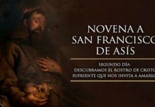 Hoy, 26 de septiembre 2019, reza la Novena a San Francisco de Asís: Segundo Día