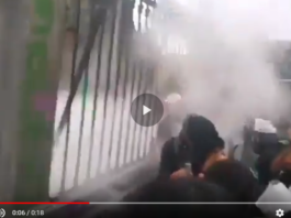abortistas.ciudad.mexico