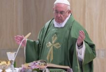 Papa Francisco. 'La tibieza espiritual transforma nuestra vida en un cementerio'