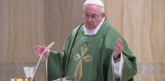 Papa Francisco. 'La tibieza espiritual transforma nuestra vida en un cementerio'