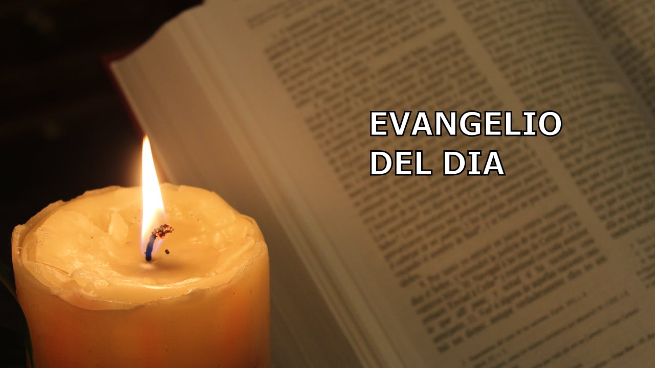 Evangelio del día Lecturas de hoy, 24 de septiembre de 2019