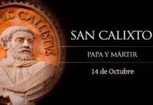 San Calixto I, Papa y Mártir. Lunes 14 de octubre de 2019