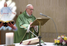 El Papa: la esperanza es como el aire que respira el cristiano