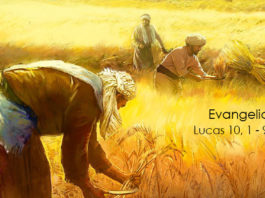 Evangelio del día Y Lecturas de hoy