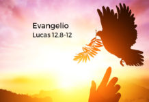 Evangelio del día Y Lecturas de hoy, sábado, 19 de octubre de 2019