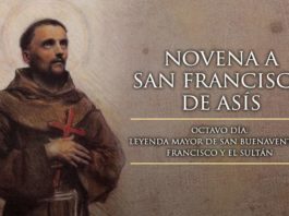 Novena a San Francisco de Asís: octavo Día