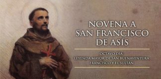 Novena a San Francisco de Asís: octavo Día