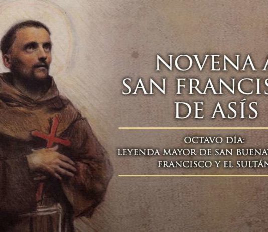 Novena a San Francisco de Asís: octavo Día