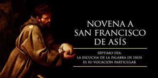 Hoy, martes 1 de octubre de 2019, reza la Novena a San Francisco de Asís: séptimo Día