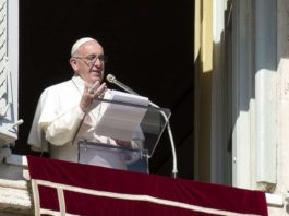 El Papa Francisco angelus