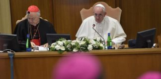 Comprender y servir a los pueblos de la Amazonía, pidió el Papa Francisco