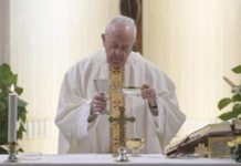 El Papa Francisco celebra la Misa matutina en la capilla de la Casa de Santa Marta (Vatican Media)