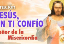 misericordia.hoy