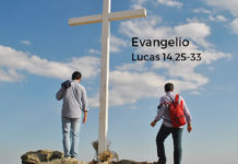 Evangelio del día Y Lecturas de hoy, miércoles, 6 de noviembre de 2019