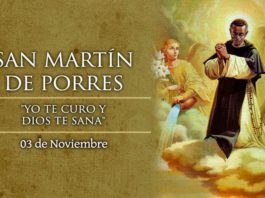 Martín de Porres, Santo. El Santo del día y su historia. Domingo, 3 de noviembre de 2019