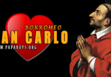 Carlos Borromeo, Santo