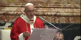 El Papa Francisco en Vaticano