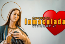 Solemnidad de la Concepción Inmaculada de la bienaventurada Virgen María