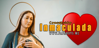 Solemnidad de la Concepción Inmaculada de la bienaventurada Virgen María