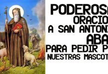 Oración a San Antonio Abad por las mascotas2