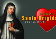 Santa Brigida