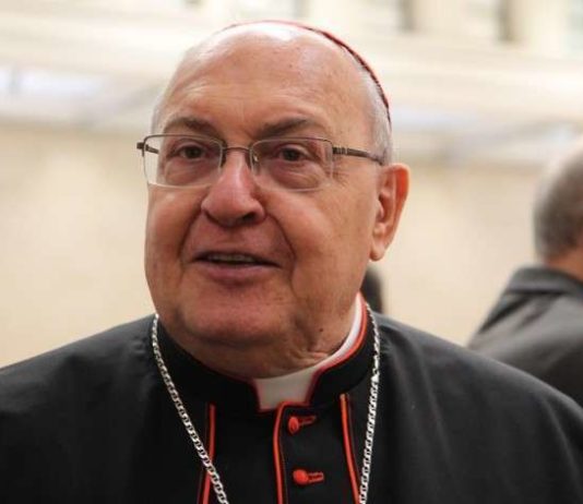 Fiesta de la Cátedra de San Pedro, Sandri puestos al servicio del Pueblo de Dios22