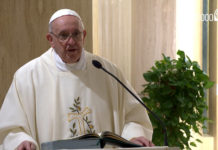 Papa Francisco 'la gran familia de aquellos que nos acompañan en el camino de la vida por un tiempo'