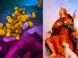 Coronavirus: una poderosa oración a san Roque para pedir por una pronta cura