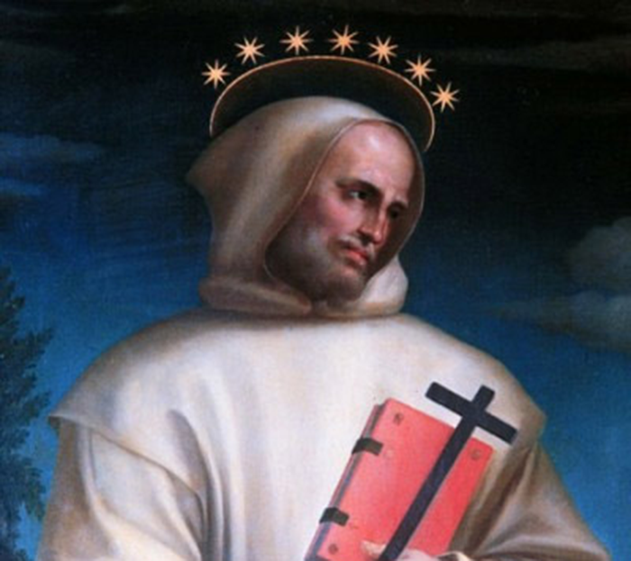 San Hugo de Grenoble, Obispo