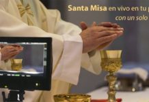 santa misa en vivo