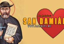 San Damián de Molokai, Sacerdote