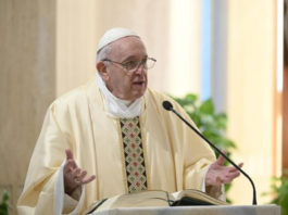 Papa Francisco