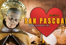 San Pascual Bailón, Religioso Franciscano