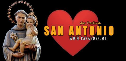 San Antonio de Padua, Presbítero y Doctor e la Iglesia