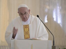 papa francisco hoy