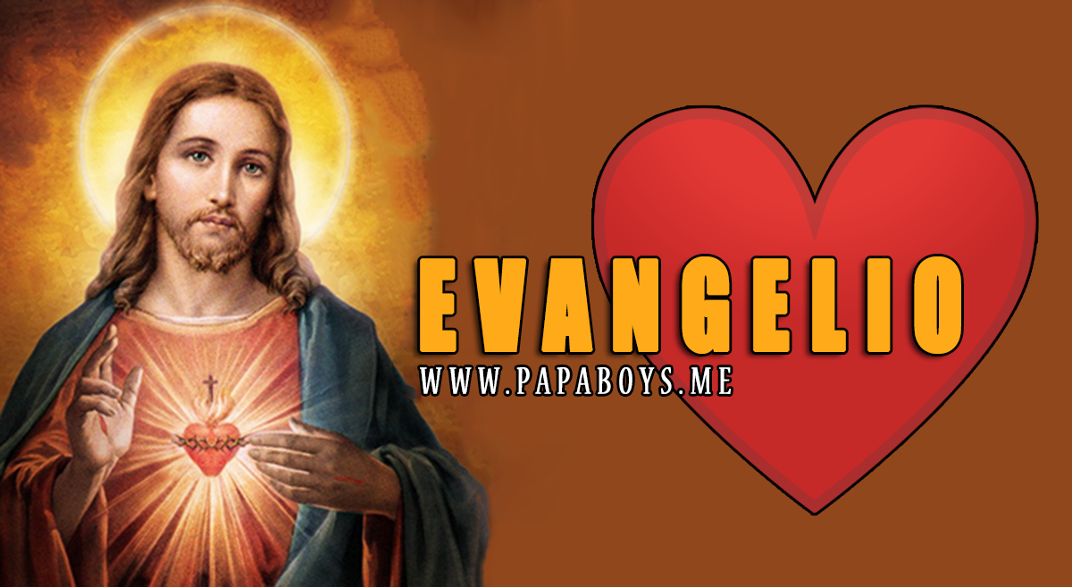 Evangelio del día y Comentario de hoy. Domingo, 26 de Julio de 2020
