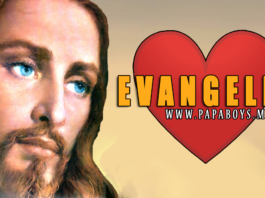 Evangelio, 11 de Julio de 2020