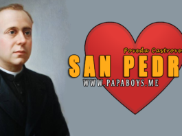 San Pedro Poveda Castroverde, Sacerdote y Mártir