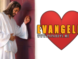 Evangelio del día, 12 de Agosto de 2020