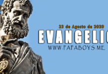 Evangelio del día, 23 de Agosto de 2020