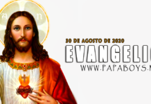 Evangelio del día, 30 de Agosto