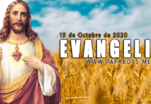 Evangelio del día, 19 de Octubre de 2020