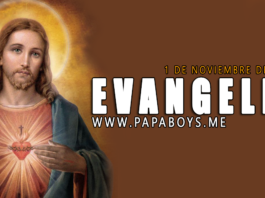 Evangelio del día 1 de Noviembre de 2020
