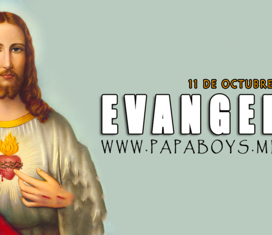 Evangelio del día, 11 de Octubre de 2020