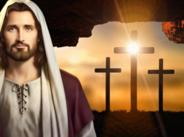 Evangelio del día, 20 de Octubre de 2020