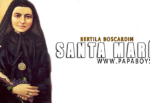 Santa María Bertila Boscardin