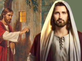Evangelio del día, 8 de Octubre de 2020