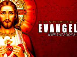 Evangelio del día, 21 de Noviembre de 2020